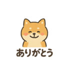 ゆるっと使える柴犬スタンプ40種。（個別スタンプ：5）