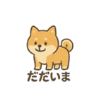 ゆるっと使える柴犬スタンプ40種。（個別スタンプ：11）