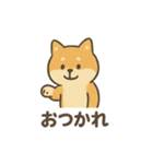 ゆるっと使える柴犬スタンプ40種。（個別スタンプ：12）
