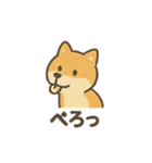 ゆるっと使える柴犬スタンプ40種。（個別スタンプ：13）