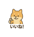 ゆるっと使える柴犬スタンプ40種。（個別スタンプ：14）