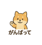 ゆるっと使える柴犬スタンプ40種。（個別スタンプ：15）