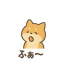 ゆるっと使える柴犬スタンプ40種。（個別スタンプ：16）