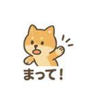 ゆるっと使える柴犬スタンプ40種。（個別スタンプ：18）