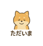 ゆるっと使える柴犬スタンプ40種。（個別スタンプ：19）
