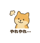 ゆるっと使える柴犬スタンプ40種。（個別スタンプ：20）
