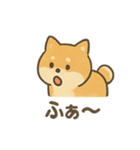 ゆるっと使える柴犬スタンプ40種。（個別スタンプ：22）