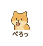 ゆるっと使える柴犬スタンプ40種。（個別スタンプ：23）