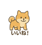 ゆるっと使える柴犬スタンプ40種。（個別スタンプ：24）