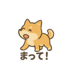 ゆるっと使える柴犬スタンプ40種。（個別スタンプ：26）