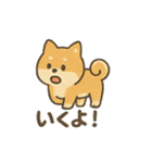 ゆるっと使える柴犬スタンプ40種。（個別スタンプ：27）