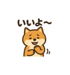 ゆるっと使える柴犬スタンプ40種。（個別スタンプ：29）