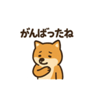 ゆるっと使える柴犬スタンプ40種。（個別スタンプ：30）