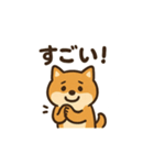 ゆるっと使える柴犬スタンプ40種。（個別スタンプ：31）