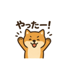 ゆるっと使える柴犬スタンプ40種。（個別スタンプ：32）