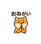 ゆるっと使える柴犬スタンプ40種。（個別スタンプ：33）