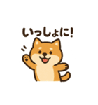 ゆるっと使える柴犬スタンプ40種。（個別スタンプ：36）