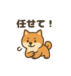 ゆるっと使える柴犬スタンプ40種。（個別スタンプ：38）