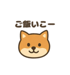 ゆるっと使える柴犬スタンプ40種。（個別スタンプ：39）