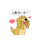 超ポジティブ犬 2（個別スタンプ：1）