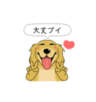 超ポジティブ犬 2（個別スタンプ：2）