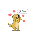 超ポジティブ犬 2（個別スタンプ：3）