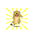 超ポジティブ犬 2（個別スタンプ：6）