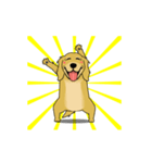超ポジティブ犬 2（個別スタンプ：7）