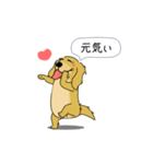 超ポジティブ犬 2（個別スタンプ：9）