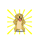 超ポジティブ犬 2（個別スタンプ：10）