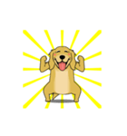 超ポジティブ犬 2（個別スタンプ：11）