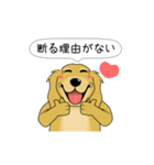 超ポジティブ犬 2（個別スタンプ：16）