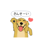 超ポジティブ犬 2（個別スタンプ：17）