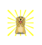 超ポジティブ犬 2（個別スタンプ：19）