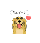 超ポジティブ犬 2（個別スタンプ：21）