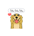 超ポジティブ犬 2（個別スタンプ：22）
