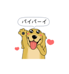 超ポジティブ犬 2（個別スタンプ：24）