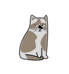 我が家の愛猫ちゃん可愛いスタンプ（個別スタンプ：2）