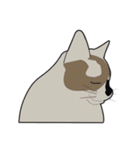 我が家の愛猫ちゃん可愛いスタンプ（個別スタンプ：5）