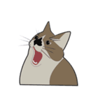 我が家の愛猫ちゃん可愛いスタンプ（個別スタンプ：6）