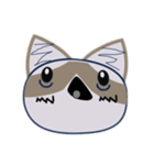 我が家の愛猫ちゃん可愛いスタンプ（個別スタンプ：11）