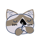 我が家の愛猫ちゃん可愛いスタンプ（個別スタンプ：19）