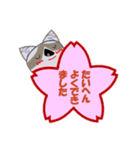 我が家の愛猫ちゃん可愛いスタンプ（個別スタンプ：22）
