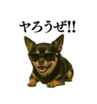 【爆笑】興奮するチワワ＠日常会話（個別スタンプ：23）