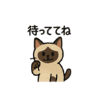 いろんなにゃんこのゆるゆるスタンプ（個別スタンプ：5）