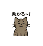 いろんなにゃんこのゆるゆるスタンプ（個別スタンプ：7）