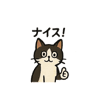 いろんなにゃんこのゆるゆるスタンプ（個別スタンプ：8）