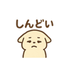いろんなにゃんこのゆるゆるスタンプ（個別スタンプ：22）