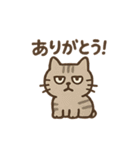 いろんなにゃんこのゆるゆるスタンプ（個別スタンプ：36）