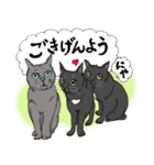 にゃんズからの優しい言葉（個別スタンプ：1）
